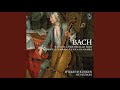 Sonata for Viola da Gamba and Harpsichord No. 1 in G Major, BWV 1027: IV. Allegro moderato