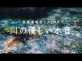 【睡眠用BGM】奈良の秘境「みたらい渓谷」とろけるような川の音でぐっすり眠れる【4K映像】
