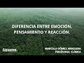 Diferencia entre emoción, pensamiento y reacción #inteligenciaemocional #pensamientopositivo