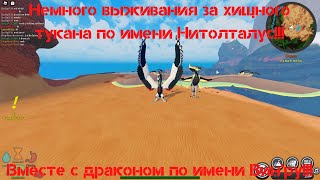 Хищный тукан по имени Нитолталус и Вин'ру гуляют вместе по миру Creatures of Sonaria!