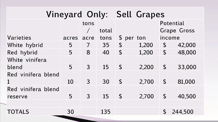 8. Opportunities for Large Commercial Vineyards in...