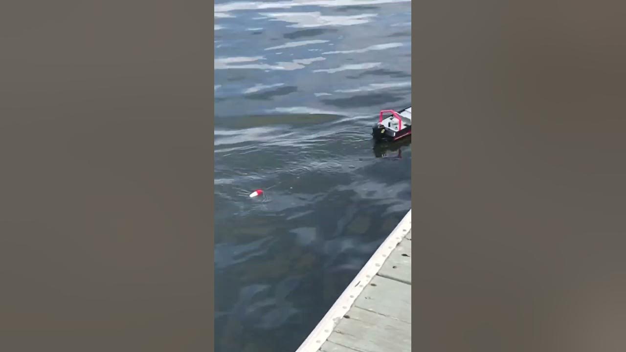 Snapper Fishing with remote control boat #shorts #takeakidfishing 