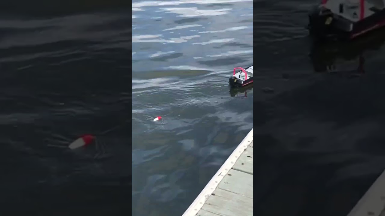 Snapper Fishing with remote control boat #shorts #takeakidfishing 