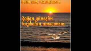 Yunus Alan - Aralarda