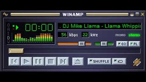 DJ Mike Llama - Winamp, It Really Whips The Llama