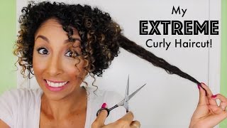 My Extreme Curly Haircut Experience Biancareneetoday