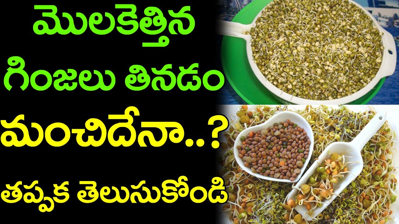 Amazing Health Benefits & Disadvantages of Soaked Sprouts Health Tips