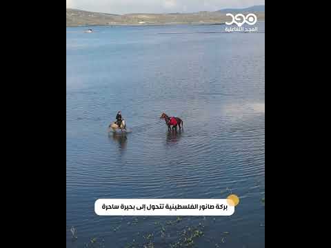 عنا بحيرة ودخوليتها مجانية سهل صانور مقصد السياح في الشتاء