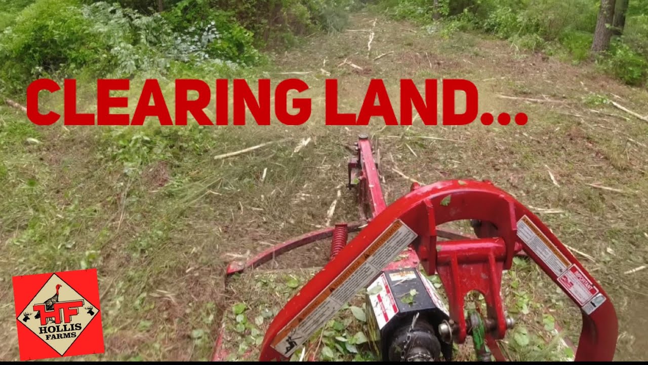 CLEARING LAND🌲🌲🌲 With The Brown Tree Cutter! YouTube