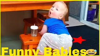 Naughty Baby Doing Hilarious Things |Cute Trouble | Funny Baby Videos