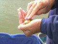 Picking the right Method feeder