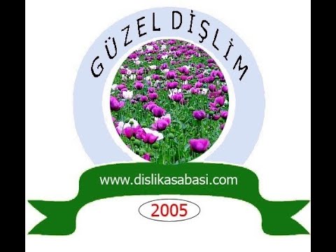 2020 Yılında Kaybettiklerimiz