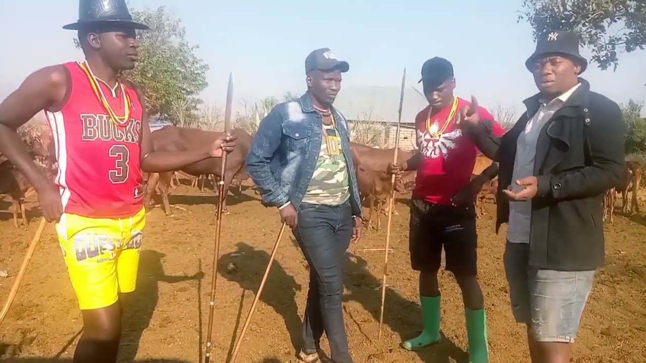 Tutazame ngombe za ndama Jigushilaga maana kila wimbo zisemwe by kulwa Mahakama