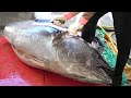 200 kg Giant Bluefin Tuna cutting for Sashimi-Taiwanese street food