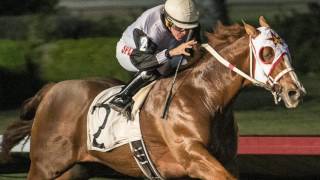 Weekend Notes & Upcoming Events at Los Alamitos