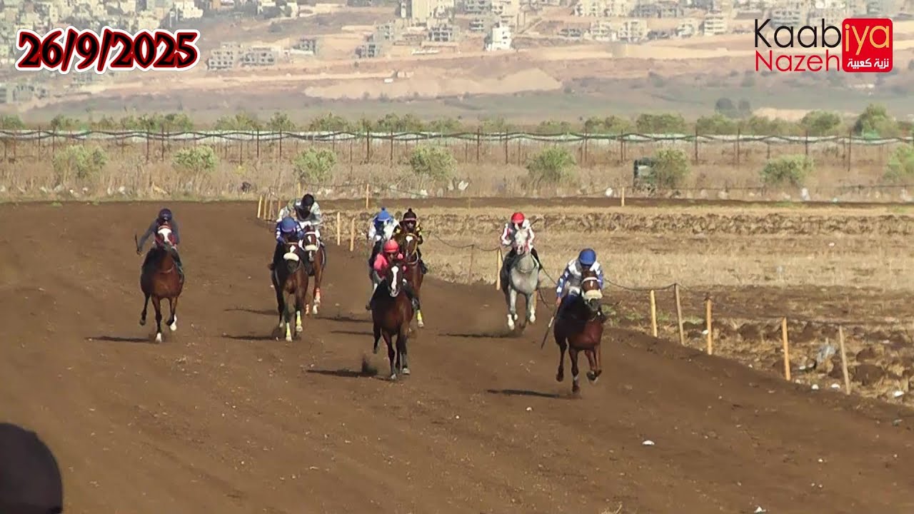 شوط ذكور جروب 1 الابطال شوط العجل رمح الرسلان ديباوي قلب الأسد ميدان الأحلام كفرمندا 26/9/2025