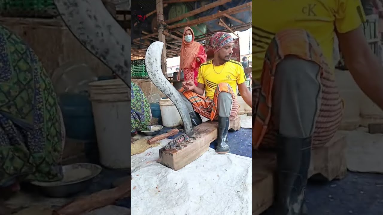 ASMR Giant Fish Cutting 