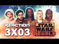 Star Wars: Rebels - 3x3 The Holocrons of Fate - Group Reaction