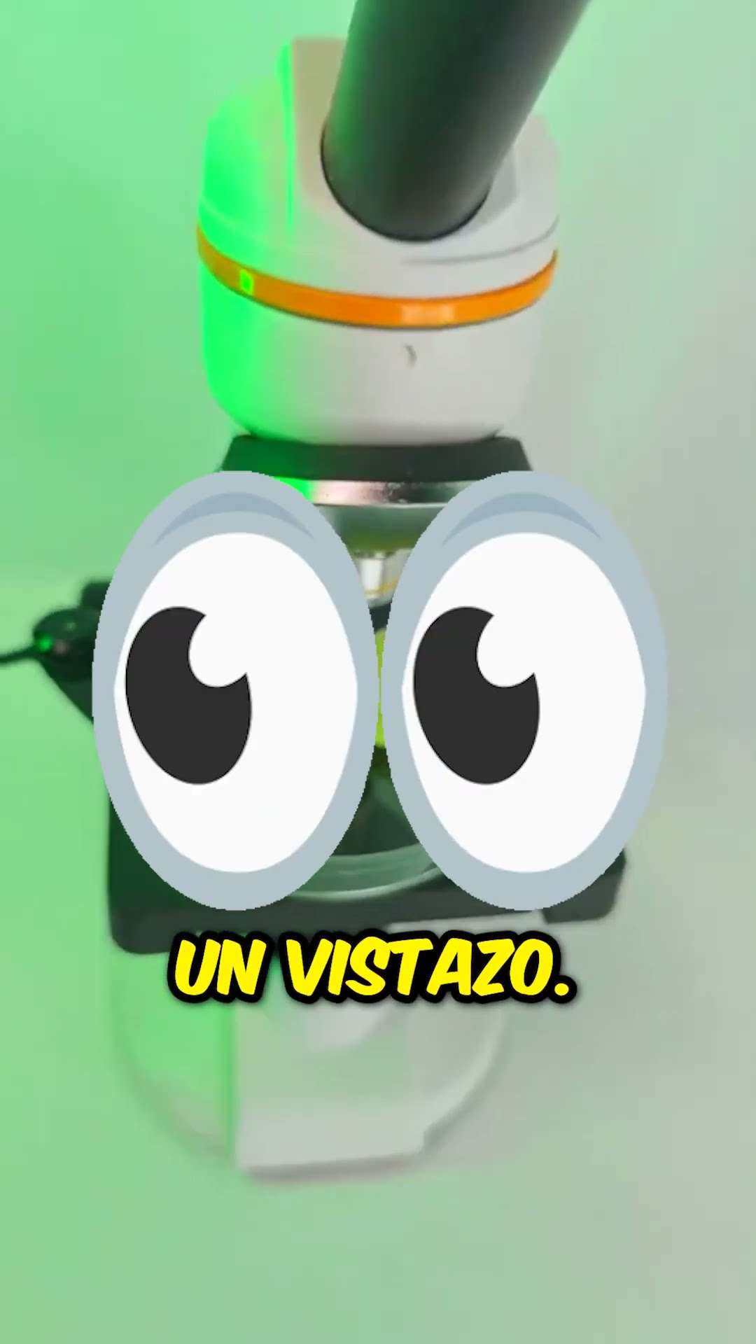 ¡Cómo se ven las Pringles bajo el microscopio! ??