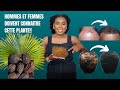 229 une plante  absolument avoir hommes et femmes alopecie palmiernain sawpalmetto