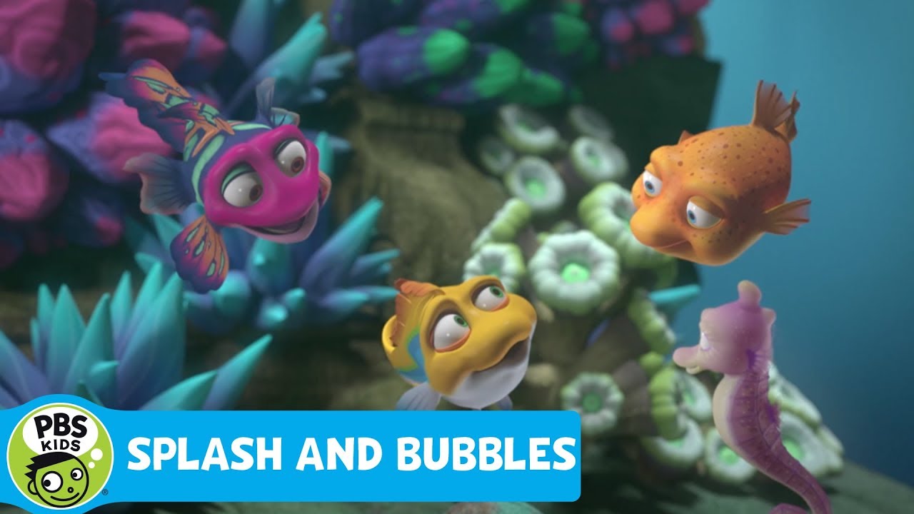 SPLASH AND BUBBLES Ocean Friend Facts PBS KIDS YouTube