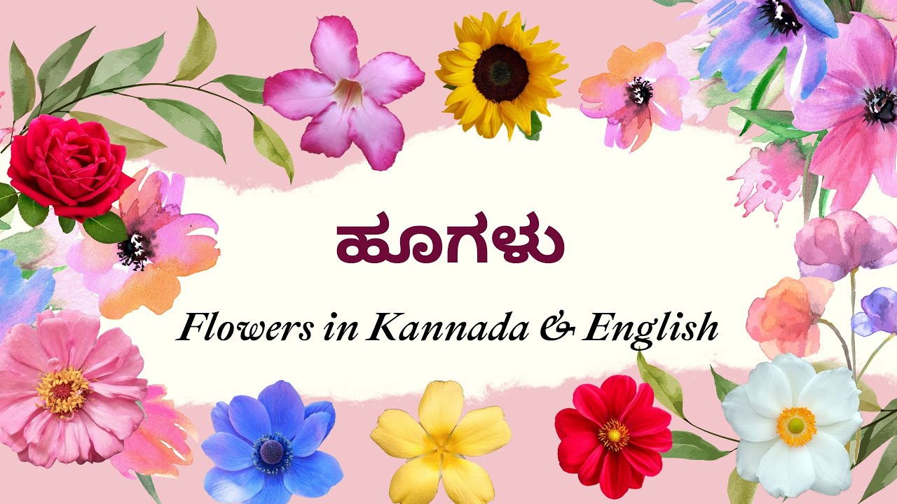 ಹೂಗಳು (Huvugalu) Flowers in Kannada & English YouTube