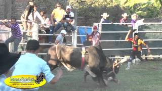 Pacana 2014