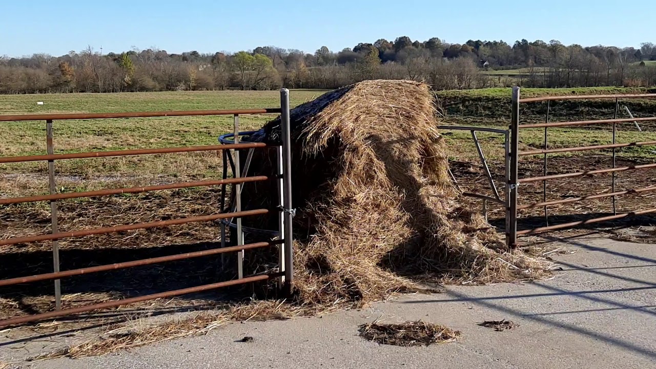 Fence Line Hay Feeder And Concrete J bunk Combo For Feeding Beef Cattle Fence Line Hay Feeder And Concrete J bunk Combo For Feeding Beef Cattle