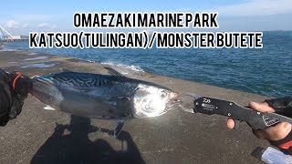 Shore: Omaezaki marine park(left side) (tulingan) katsuo\/ (butate) saba fuugo
