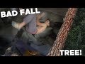 Climber takes BAD FALL into tree!