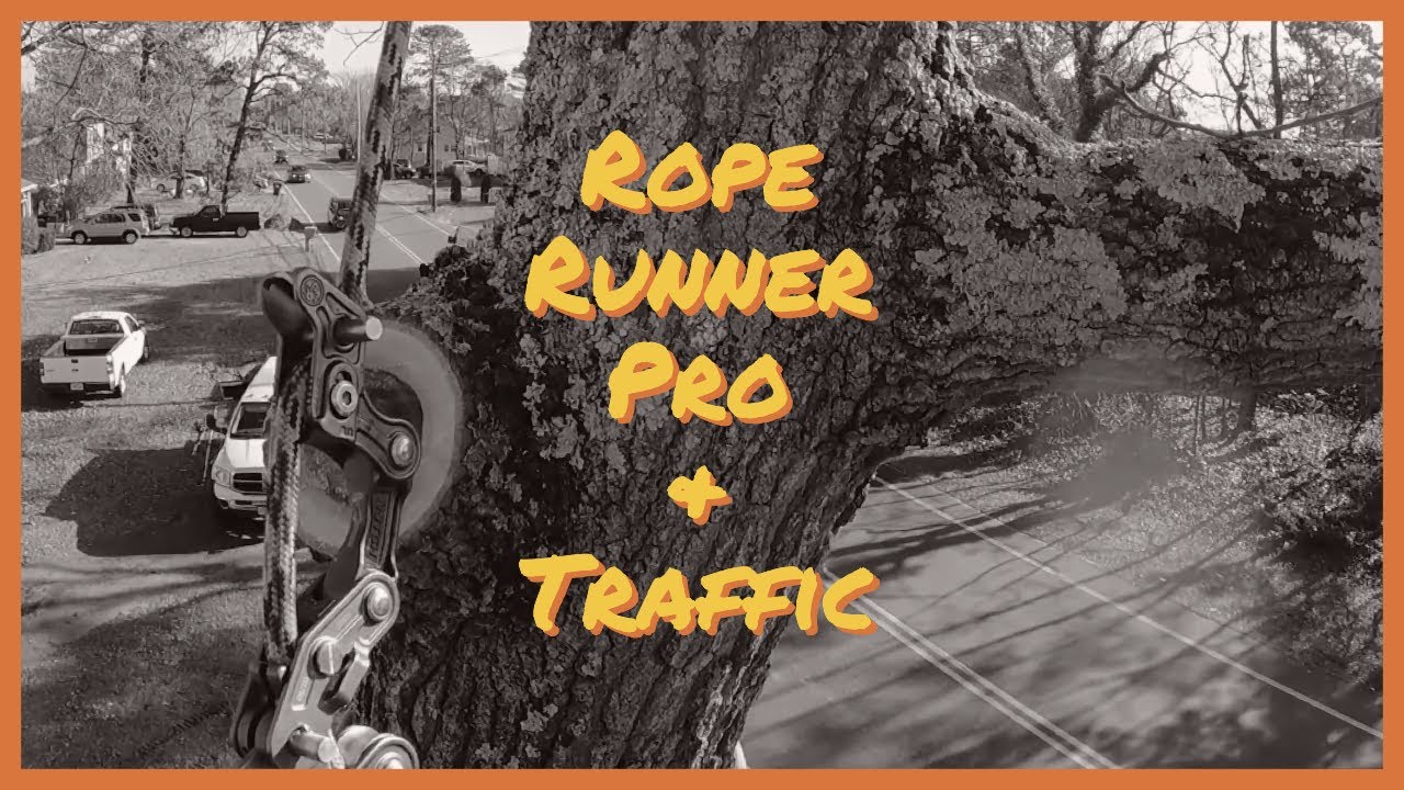TreeClimbers | Rope Runner Pro &Traffic - YouTube