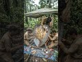 🛡️ Lost in the jungle, revived by human hands 🌿⚒️ From rust to glory once again!
