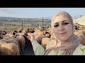 أجواء الرحبة في سيدي ادريس مدينة طنجة عروس الشمال مع الأثمنة 