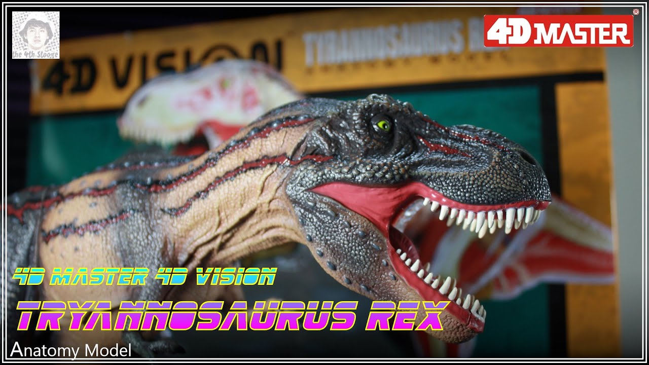アオシマ 4D VISION 動物解剖 No.22 T-REX 解剖モデル Amazon.co.jp: アオシマ 4D VISION 動物解剖 No.22 T-REX 解剖