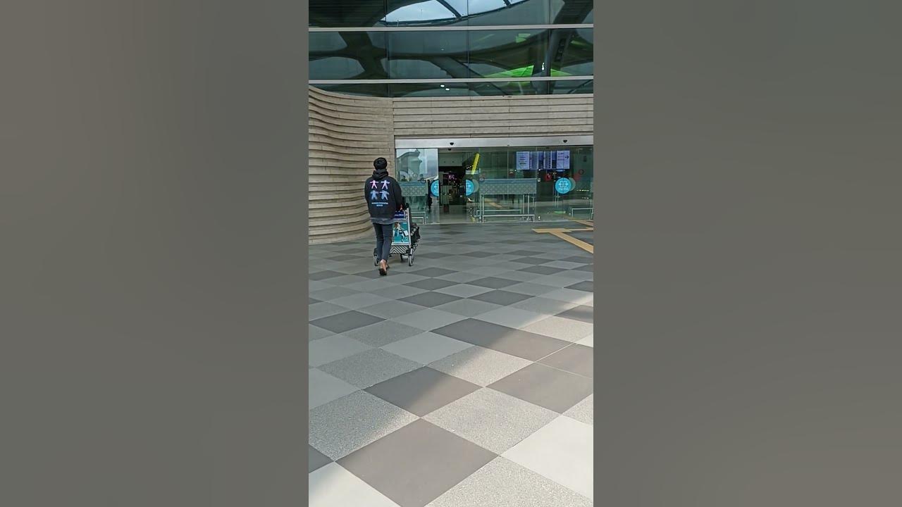 YIA #cover #music #song #fujiikaze #singer #cat #jalanyangjauhjanganlupapulang #nature #hewanbesar YIA #cover #music #song #fujiikaze #singer #cat #jalanyangjauhjanganlupapulang #nature #hewanbesar