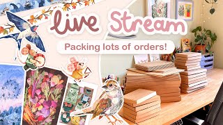 Order packing stream! Shop update launch aftermath