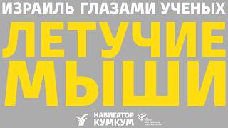 Летучие мыши || Хироптеролог Александра Панютина
