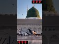 Mola ya #beautiful #viral #best