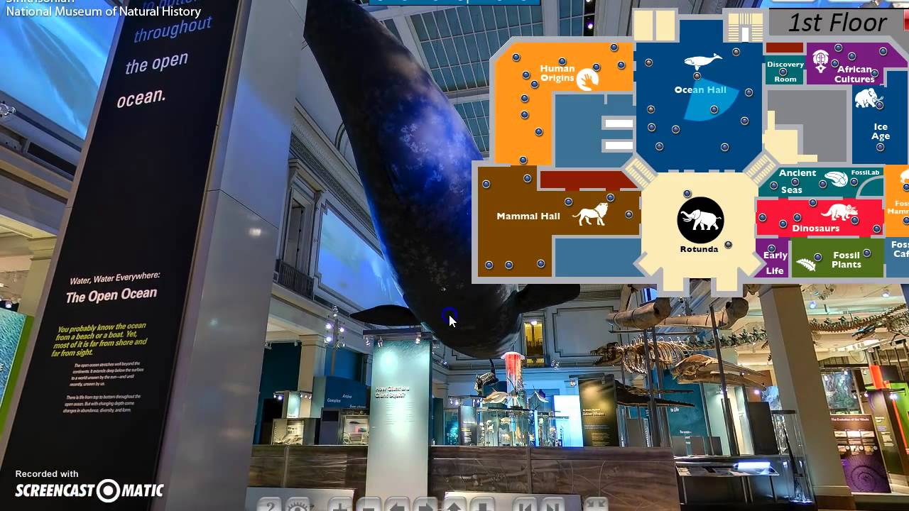 smithsonian museum 3d tour