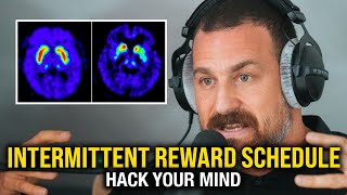 NEUROSCIENTIST: How The 1% Manipulate Dopamine For Success | Dr. Andrew Huberman by Infinite 2,957 views 2 years ago 11 minutes, 24 seconds
