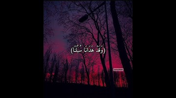 وَمَا لَنَا أَلَّا نَتَوَكَّلَ عَلَى اللَّهِ وَقَدْ هَدَانَا سُبُلَنَا ۚ 💙 القارئ فارس عباد