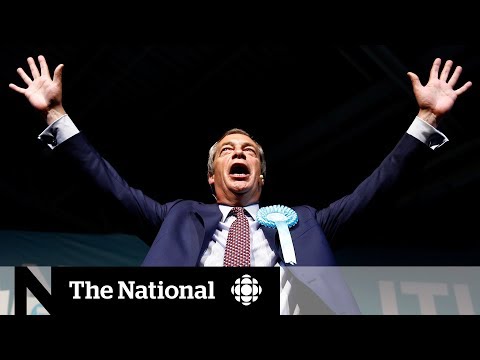 Brexit Party looking for votes in the EU Parliament | Dispatch
