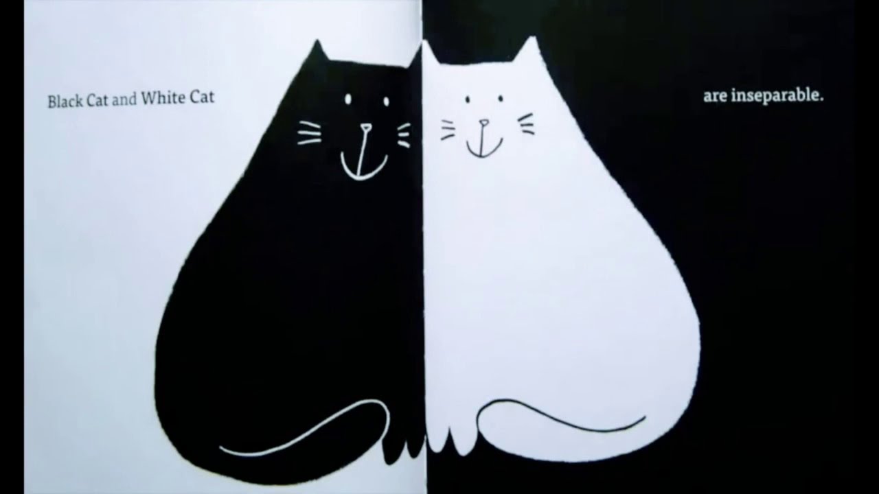 The Cat Book: A minibombo Book: Borando, Silvia, Borando, Silvia:  9780763694722: : Books