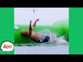 The FAIL Sent His Glasses FLYING! 🤣 | Best Water Fails | AFV 2021
