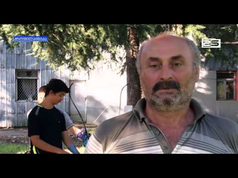 რიოს ოლიმპიურ თამაშებზე აჭარიდან 6 სპორტსმენი მიემგზავრება