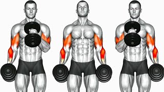 : Biceps Workout 6 Best Exercises to build Strong Bicep