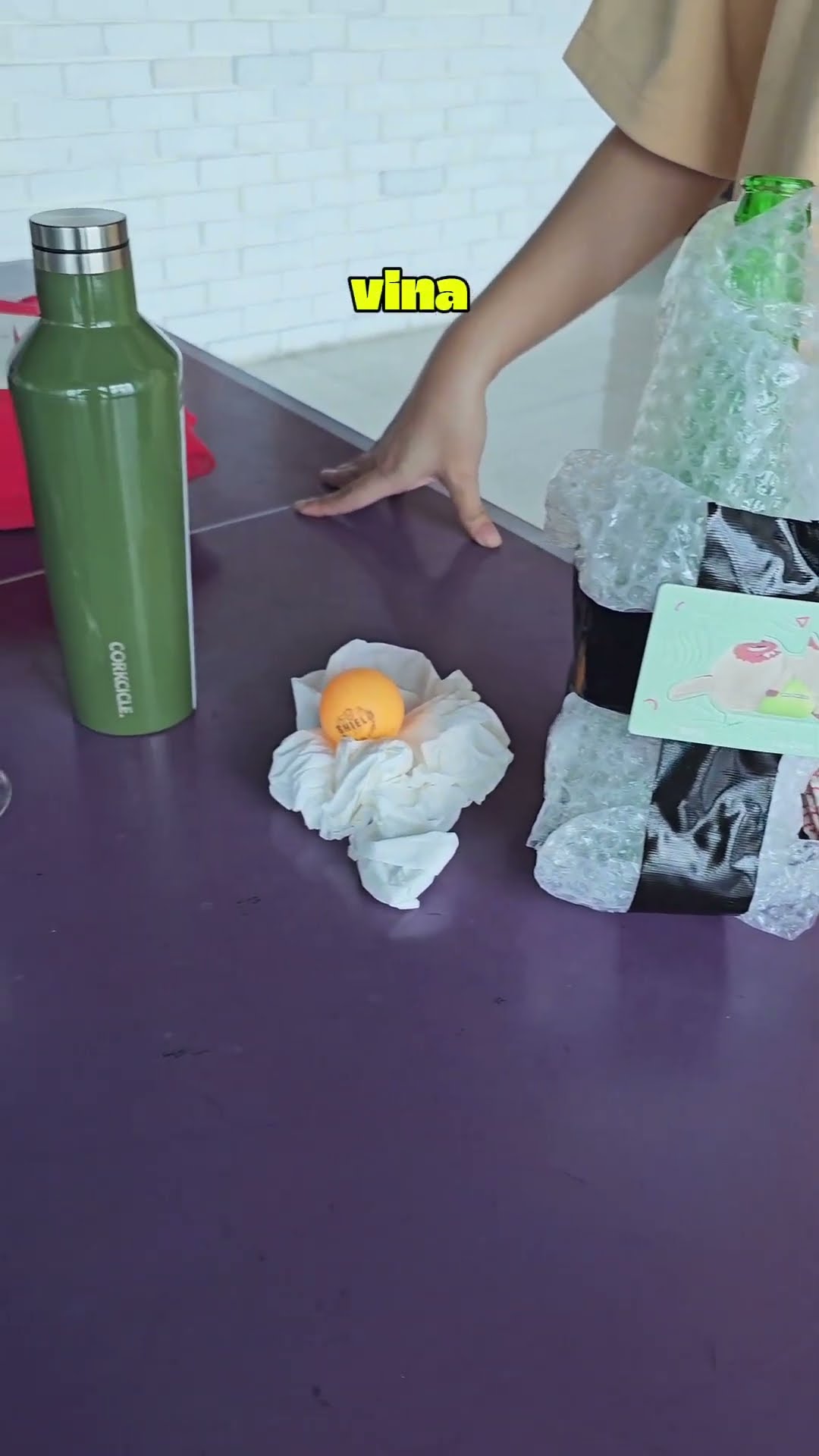 CHALLENGE PINDAHIN BOLA PING-PONG TANPA DI SENTUH!