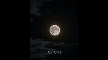 إنا أنزلناه في ليلة القدر | القارئ عمر محجوب | سورة القدر