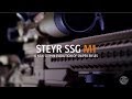 NEW STEYR SSG M1