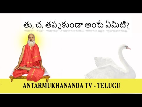 తు, చ, తప్పకుండా అంటే ఏమిటి? What is tu cha? Practice and Detachment -  Swamy Antarmukhananda Speaks